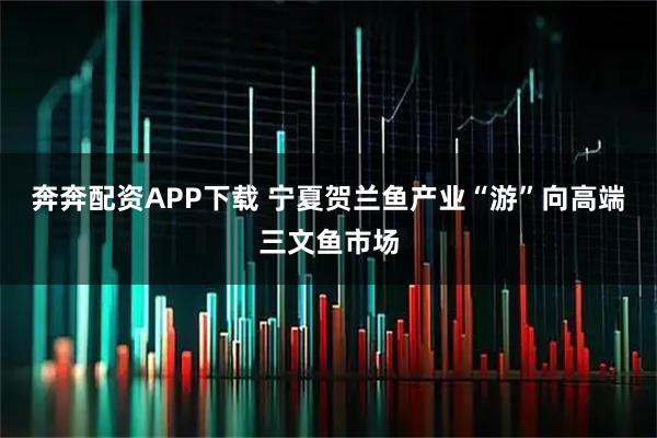 奔奔配资APP下载 宁夏贺兰鱼产业“游”向高端三文鱼市场