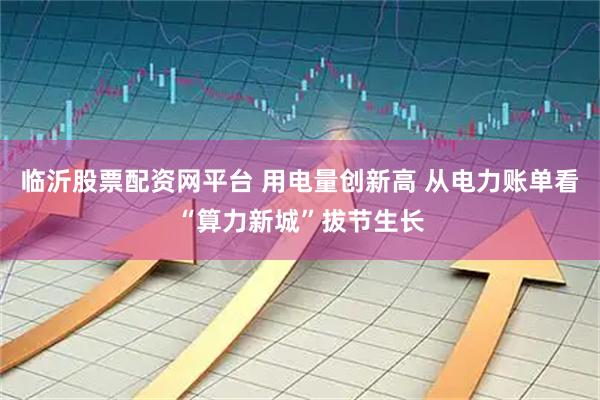 临沂股票配资网平台 用电量创新高 从电力账单看“算力新城”拔节生长
