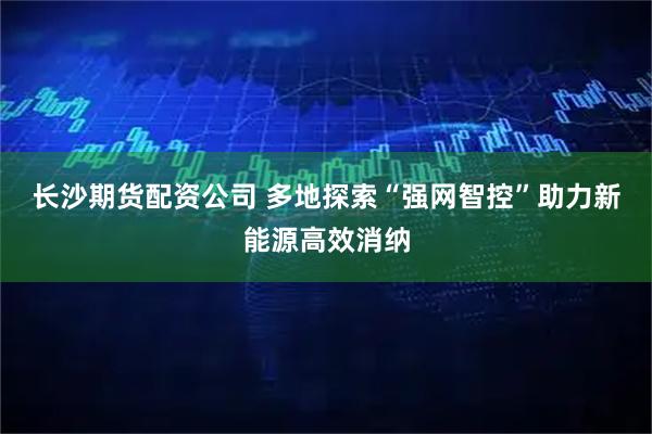 长沙期货配资公司 多地探索“强网智控”助力新能源高效消纳