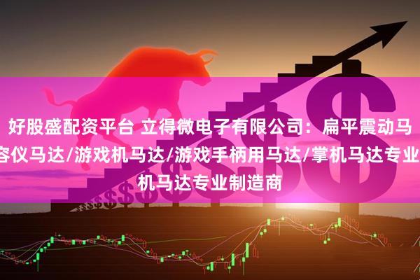 好股盛配资平台 立得微电子有限公司：扁平震动马达/美容仪马达/游戏机马达/游戏手柄用马达/掌机马达专业制造商