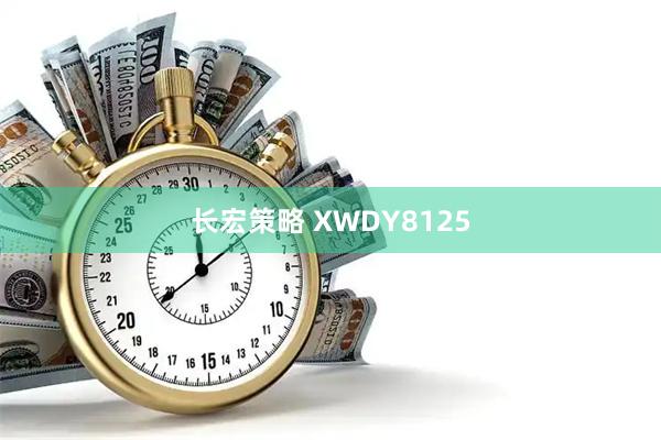 长宏策略 XWDY8125